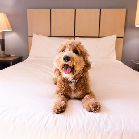 Sonesta Simply Suites Parsippany Morris Plains Esterno foto
